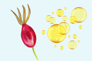 rosehip oil page